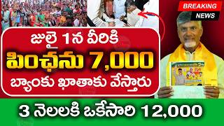 రేపటి నుంచి కొత్త కార్డులు పంపిణీ  New Volunteer News  Pension Latest Update  ViralVasu [upl. by Endaira62]