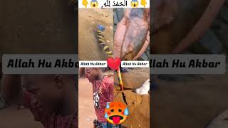 makkah Madnh ya alli Allah new viral allah [upl. by Einhpad]