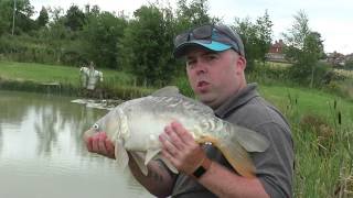 Big Carp In The Margins With The Shimano Beast Master [upl. by Rutger]