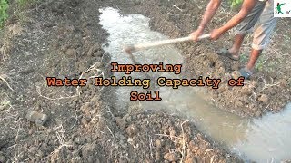 Improving water holding capacity of soil  Farm Innovator Subhash Sharma 24 [upl. by Franky]