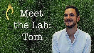 Meet the Lab – Tom Crowther [upl. by Cheyney812]