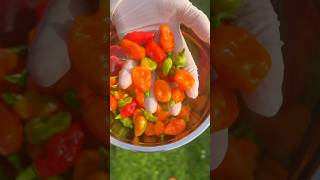 Spicy Habanero Chili Sauce 🥵🌶️ habanero chilli hotsauce spicyfood cookingshorts cooking [upl. by Erick]