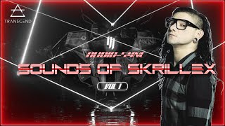 SOUNDS OF SKRILLEX VOL 1  Full Hour DJ  Visual Mix TRANTIC [upl. by Hniv]