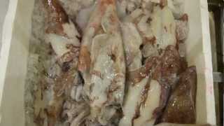 How to prepare and cook cuttlefish [upl. by Erbas]