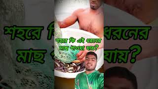 Fishing video  viral shorts videos  fising fishermanslife farming [upl. by Auqinu]