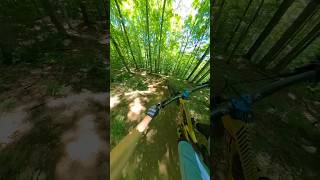 The Flowiest of the Flow in this little town mtb mountainbike mountainbiking [upl. by Kirat]