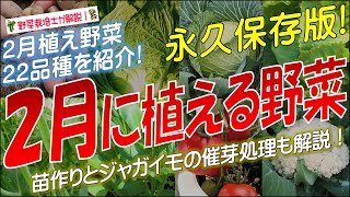 2月に植える野菜（22品種）永久保存版 [upl. by Erinna653]