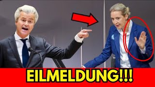 Geert Wilders Schockierende Botschaft an Alice Weidel – Ein Neuer Abschnitt im Kampf für Europa [upl. by Lebatsirc448]