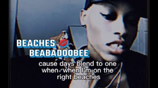 beaches beabadoobee cover by V [upl. by Swanson388]