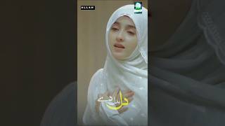 Syeda Areeba Fatima New Status  Ramzan Special trending shorts viral nasheed arabickalam [upl. by Erialb]