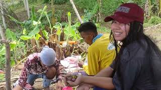 Grilling Fish on Banana Leaves  Cooking for Lunch with the Crew  Outdoor Cooking in the Province [upl. by Minnaminnie926]