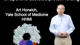 Arthur Horwich YaleHHMI Part 1B Chaperoneassisted protein folding [upl. by Idnac]