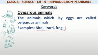 Definition of Oviparous animals for class 8 science [upl. by Dominy]