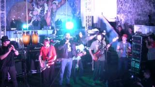 Zdob Si Zdub feat Rekord Orkestr  Everybody In The Casa Mare Live [upl. by Asel779]