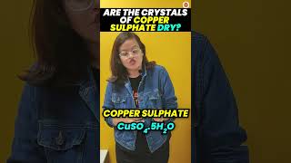 Are the Crystals of Copper Sulphate Dry  Class 10 Chemistry  CBSE Board Exam 2024 [upl. by Zednanref]