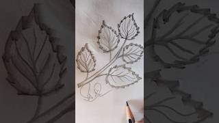 How to draw rose leaf 🌿 drawing pencilartsworld art sketch youtubeshorts comment [upl. by Beilul]