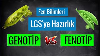 Kalıtımla İlgili Temel Kavramlar  3 quot Genotip vs Fenotipquot ve quotGenlerin Harflerle Gösterimiquot [upl. by Enilrad]