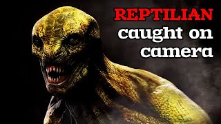 REPTILIAN caught on camera [upl. by Nauqaj]