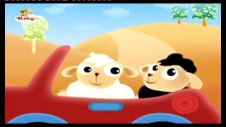 BabyTV BabyHood Sheeps car english [upl. by Labana]