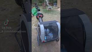 New EBIKE is working great automobile dogl offgrid puppy ebike electricalbike ebikemotion [upl. by Bumgardner]