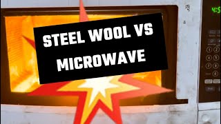 Will it microwave steel wool [upl. by Sayce]