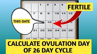 how to Calculate OVULATION DAYS for 26 Day Cycle [upl. by Noir572]