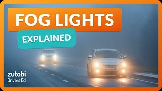 Budget Friendly Powerful Fog Lights  From LIU HJG FutureEye 5 led Lenes  For Car And Bikes [upl. by Eenahpets576]