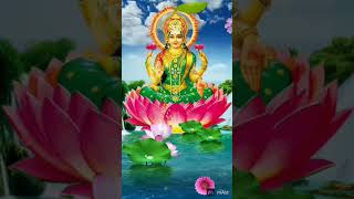 maha laxmi stotram  shorts status  video 🙏 [upl. by Freytag948]