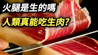 豬肉不能生吃，為何火腿可以 拆封直接吃就是吃生豬肉嗎 生食肉類 金華火腿 伊比利亞火腿 豬肉牛肉 生魚片刺身 壽司 三分熟牛排 莎樂美腸 [upl. by Dumm]