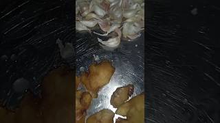 Ginger garlic paste 🧄🧄🧄🧄🧄subscribe papular paste Gingergarlic like treding viral top shorts [upl. by Lehsar]