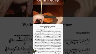 RIEDING CONCERTO Op 35 in B minor 1Mov  FREE VIOLIN EASY PLAY ALONG JL17 [upl. by Eibrab]