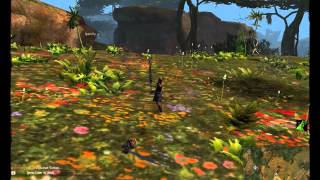 Brilitine Point of Interest PoI  Brisban Wildlands  Guild Wars 2 [upl. by Bopp]