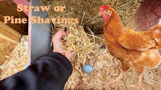 When to Use Straw or Pine Shavings for Chicken Nest Boxes [upl. by Minerva216]