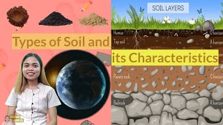 Types of Soil and Its Characteristics  Science 4  Quarter 4 Week 1 [upl. by Weed]