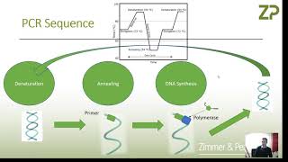 Electrochemical biosensors for DNA detection [upl. by Gambrill]