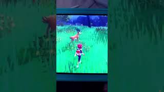 Random encounter shiny Sawsbuck pokemonscarlet shinypokemon [upl. by Blake]