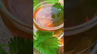 Drink Stinging Nettle Tea Your LIVER Will Thank You [upl. by Paquito]