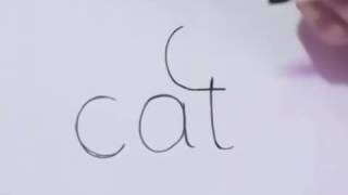 كيفية رسم قطة باستعمال كلمة cat [upl. by Cuthbertson]