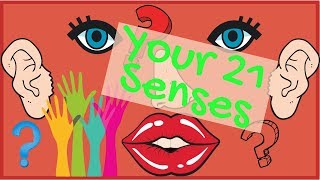 Your 21 Senses [upl. by Burg]