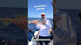 Catching My First Golden Tilefish with the Daiwa Seapower 1200 gulfofmexico daiwa goldentile [upl. by Sivrat]