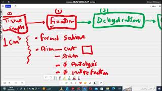 methods of study  histology  2 المحاضرة الثانية [upl. by Ihcelek614]