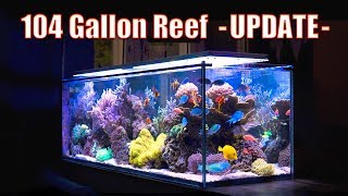 BREATHTAKING Reef Aquarium  104 Gallons ᴴᴰ [upl. by Yrneh]