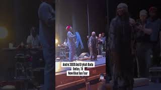 Andre 3000 Brings Out Erykah Badu in Dallas Texas [upl. by Vargas]