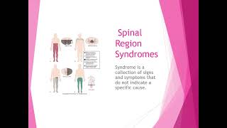 Chapter 19 002 Spinal Cord Lesions [upl. by Anasor]