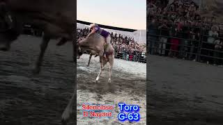 Silensioso d nayarit Vs G63 bullrider  jinetes guachemeco2 jaripeo cowboys jaripeosinfr [upl. by Donough777]