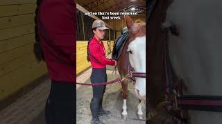 My tips for riding an anxious horse outside an arena Pt 1 horse horsegirl equestrian horses [upl. by Rosel]