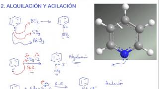 Piridina  Alquilación acilación y oxidación de la piridina [upl. by Atsirt]