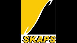 SKAPS INDUSTRIES Corporate 2023 [upl. by Nnaaras]