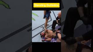 Best Standing Guillotine in UFC shorts [upl. by Vidal]