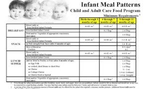 CACFP Training Meal Patterns [upl. by Puiia]